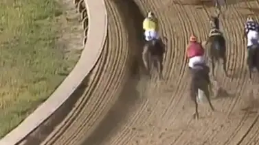 Jockey venezolano sufre fuerte rodada y esta es su condición actual Jockey venezolano sufre fuerte rodada y esta es su condición actual