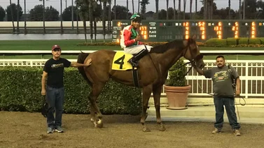 Hipódromo de Estados Unidos inicia esta semana meeting de seis días con dos stakes