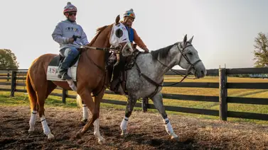 Datos de Última Hora Kentucky Downs Miércoles 11-09-2024 Datos de Última Hora Kentucky Downs Miércoles 11-09-2024