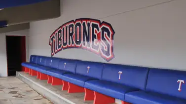 LVBP: Tiburones de La Guaira prepara su hogar para buscar el bicampeonato LVBP: Tiburones de La Guaira prepara su hogar para buscar el bicampeonato