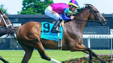 Junior Alvarado va por el primer Clásico de Grado en este nuevo meeting