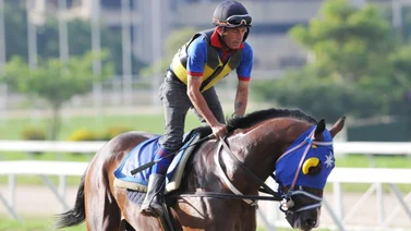 Jonathan Nava espera repetir victoria con este ejemplar en La Rinconada 