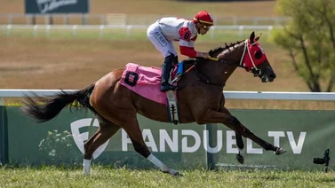 Irad Ortiz Jr. sigue su ritmo y gana dos más en este óvalo de Estados Unidos