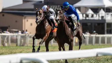 Irad Ortiz Jr. y Tyler Gaffalione empataron la estadística en este selecto meeting Irad Ortiz Jr. y Tyler Gaffalione empataron la estadística en este selecto meeting