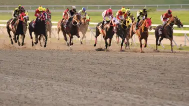 Mira el ajuste de este nieto de Tapit que puede sorprender en la primera del domingo en la reunión 35 Mira el ajuste de este nieto de Tapit que puede sorprender en la primera del domingo en la reunión 35