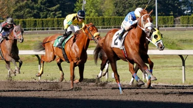 Jockey venezolano gana 6 carreras y se coloca segundo en la estadística de este meeting