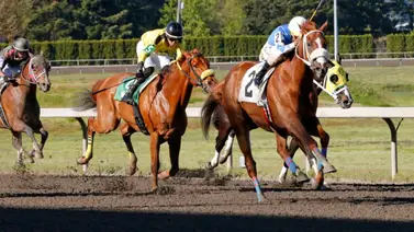 Jockey venezolano gana 6 carreras y se coloca segundo en la estadística de este meeting Jockey venezolano gana 6 carreras y se coloca segundo en la estadística de este meeting