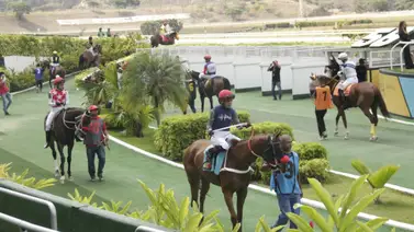 Entrenador que tiene más de tres años sin ganar puede salir de esa racha el domingo en La Rinconada Entrenador que tiene más de tres años sin ganar puede salir de esa racha el domingo en La Rinconada