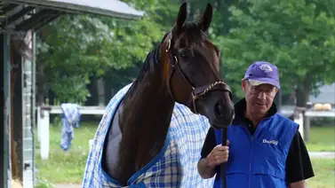 Thorpedo Anna y Seize The Grey van por $1.000.000 en jornada clásica Thorpedo Anna y Seize The Grey van por $1.000.000 en jornada clásica