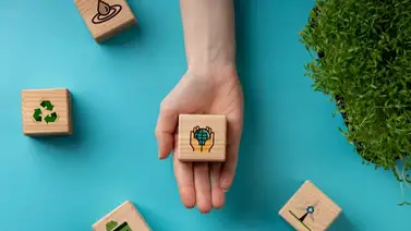 Camilo Ibrahim Issa: "La sostenibilidad es clave para el éxito a largo plazo de las empresas” Camilo Ibrahim Issa: "La sostenibilidad es clave para el éxito a largo plazo de las empresas”