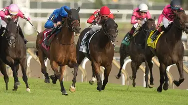 Estos son los 33 stakes a disputarse este 14 de septiembre en Norteamérica Estos son los 33 stakes a disputarse este 14 de septiembre en Norteamérica