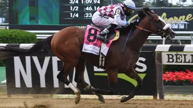 Conoce los 10 nuevos sementales que tienen mayor producción en Estados Unidos Conoce los 10 nuevos sementales que tienen mayor producción en Estados Unidos