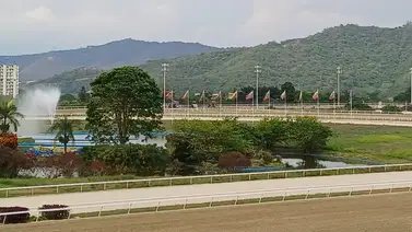 Favoritos de la cátedra para el 5y6 Nacional de la reunión N°35 en el hipódromo La Rinconada Favoritos de la cátedra para el 5y6 Nacional de la reunión N°35 en el hipódromo La Rinconada