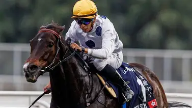 Se retira de las pistas ejemplar productor de 16 millones y 3 veces caballo del año Se retira de las pistas ejemplar productor de 16 millones y 3 veces caballo del año