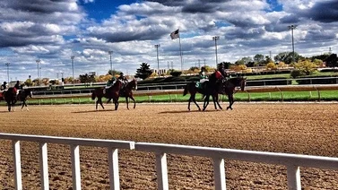 Veterinaria demanda a este hipódromo por permitir en carreras caballos en mal estado físico