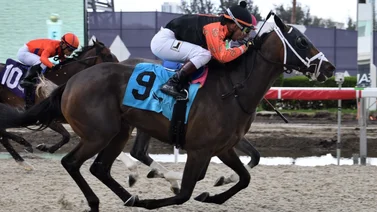 Jockey venezolano sorprende con alto dividendo en el primer día de Belmont At The Big A