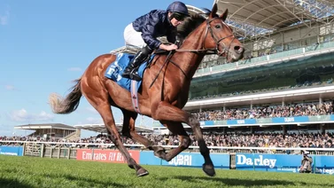 Así entrenará el mejor caballo del mundo para la Breeders´Cup Classic 2024