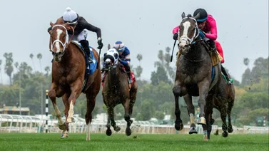 Lo mejor del hipismo está en MeridianoBet