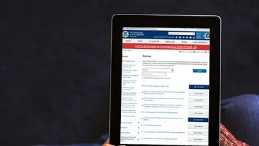 EEUU | USCIS anuncia la interrupción de sus herramientas en línea (+Fecha) 