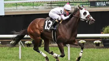 Sobrino de leyenda venezolana gana su primera carrera en Belmont the Big A Sobrino de leyenda venezolana gana su primera carrera en Belmont the Big A