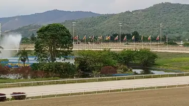 Así sellaremos nuestro cuadrito de 5y6 en la reunión 35 en La Rinconada Así sellaremos nuestro cuadrito de 5y6 en la reunión 35 en La Rinconada