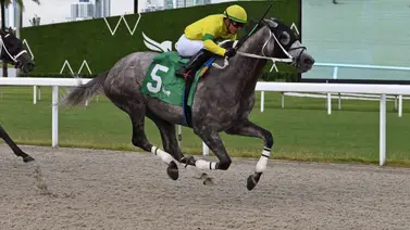 Emisael Jaramillo se quedó con el único Stakes del fin de semana en Gulfstream Park