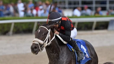 Leonel Reyes con el mejor dividendo del fin de semana en Gulfstream Park