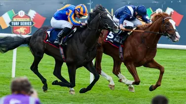 Este es el caballo que derrotó a Auguste Rodin y va por $5.000.000 en la Breeders´Cup Turf Este es el caballo que derrotó a Auguste Rodin y va por $5.000.000 en la Breeders´Cup Turf