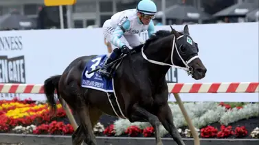 Irad Ortiz Jr. montará ejemplares que entrena el venezolano Jorge Delgado en esta gala de Estados Unidos Irad Ortiz Jr. montará ejemplares que entrena el venezolano Jorge Delgado en esta gala de Estados Unidos