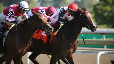 Jockey boricua sorprende en stakes Grado 1 y clasifica a las Breeders´Cup Jockey boricua sorprende en stakes Grado 1 y clasifica a las Breeders´Cup
