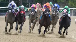 Jornada del sábado en Park Racing será un festival de Stakes (+Listado)