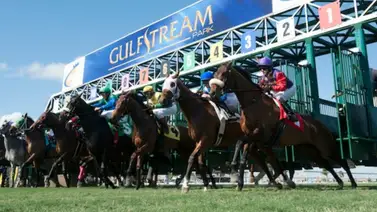 Cuatro jockeys y dos trainers venezolanos van por cupo a la Breeders’ Cup Cuatro jockeys y dos trainers venezolanos van por cupo a la Breeders’ Cup