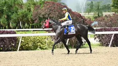 El de Froix por otro triunfo selectivo en el Clásico Jockey Club en La Rinconada El de Froix por otro triunfo selectivo en el Clásico Jockey Club en La Rinconada