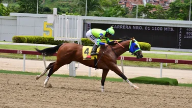 Marco Antonio a defender su invicto en el Clásico Victoreado (GIII) en La Rinconada