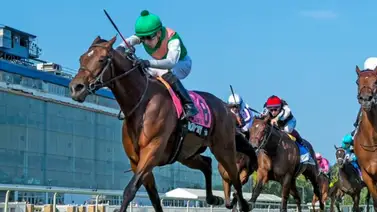 Mychel Sánchez va por Stakes de $1.000.000 este sábado en Park Racing Mychel Sánchez va por Stakes de $1.000.000 este sábado en Park Racing