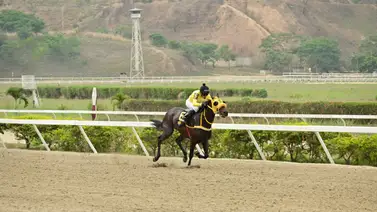Caballo que surge como favorito en el 5y6 reaparece después de 119 días sin correr en La Rinconada Caballo que surge como favorito en el 5y6 reaparece después de 119 días sin correr en La Rinconada