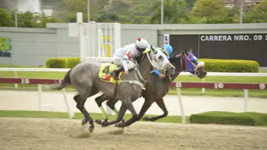 En la sexta válida del 5y6 participa un ejemplar que da por video y de ganar abonaría un excelente dividendo En la sexta válida del 5y6 participa un ejemplar que da por video y de ganar abonaría un excelente dividendo