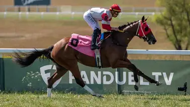 Irad Ortiz Jr. montará cinco Stakes con ejemplares de trainers venezolanos Irad Ortiz Jr. montará cinco Stakes con ejemplares de trainers venezolanos