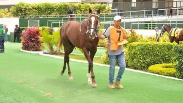 Debuta hijo de Bicampeón del Clásico Presidente de la República este domingo en La Rinconada Debuta hijo de Bicampeón del Clásico Presidente de la República este domingo en La Rinconada