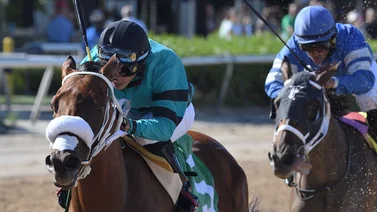 Emisael Jaramillo va en busca de 4 stakes este sábado en Gulfstream Park