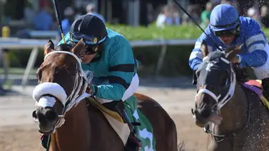 Emisael Jaramillo va en busca de 4 stakes este sábado en Gulfstream Park Emisael Jaramillo va en busca de 4 stakes este sábado en Gulfstream Park