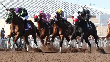 Arrestados un entrenador y un propietario por operación ilegal de apuestas en Estados Unidos Arrestados un entrenador y un propietario por operación ilegal de apuestas en Estados Unidos