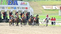 Debuta potra importada de Estados Unidos este domingo en La Rinconada
