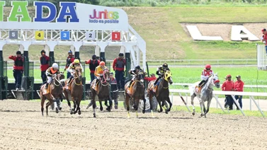 Debuta potra importada de Estados Unidos este domingo en La Rinconada