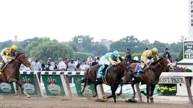 19 Stakes en cuatro hipódromos para este sábado en Estados Unidos 19 Stakes en cuatro hipódromos para este sábado en Estados Unidos