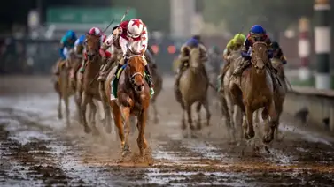 Yegua de Jorge Delgado reta a Thorpedo Anna en el Cotillion Stakes Yegua de Jorge Delgado reta a Thorpedo Anna en el Cotillion Stakes