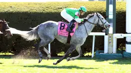 Irad Ortiz Jr buscará su primer triunfo del año en este hipódromo de Estados Unidos