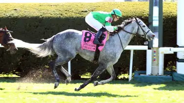 Irad Ortiz Jr buscará su primer triunfo del año en este hipódromo de Estados Unidos Irad Ortiz Jr buscará su primer triunfo del año en este hipódromo de Estados Unidos