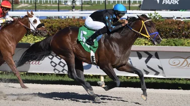 Jockey boricua duplica victorias y empata el tercer puesto en la estadística del meeting