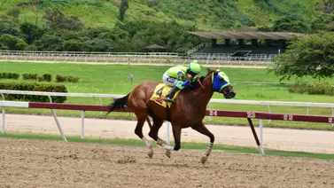 Así ajustó Marco Antonio con miras a defender su invicto este domingo en La Rinconada Así ajustó Marco Antonio con miras a defender su invicto este domingo en La Rinconada
